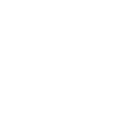 Customer Experience